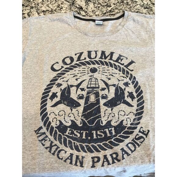 Cozumel Mexico‎ Gray T-shirt Island Men's XL Mexican Paradise Arei Tag - Picture 1 of 4